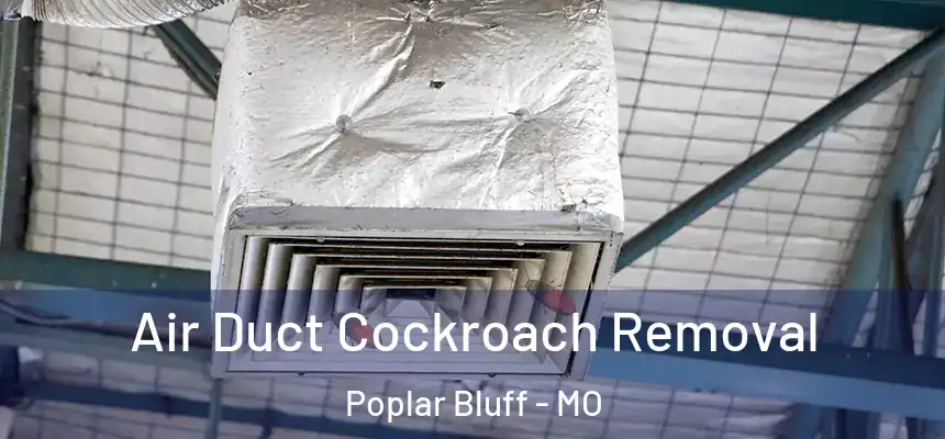 Air Duct Cockroach Removal Poplar Bluff - MO