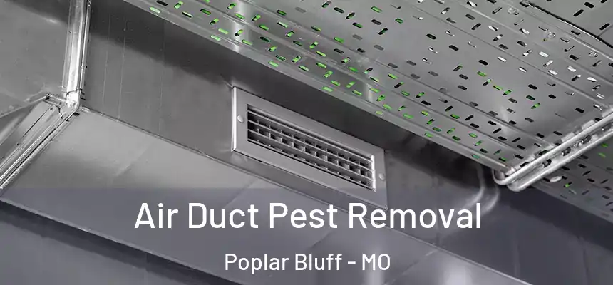 Air Duct Pest Removal Poplar Bluff - MO