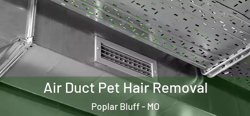  Air Duct Pet Hair Removal Poplar Bluff - MO
