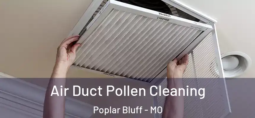  Air Duct Pollen Cleaning Poplar Bluff - MO