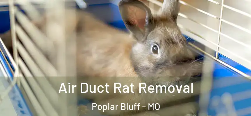 Air Duct Rat Removal Poplar Bluff - MO