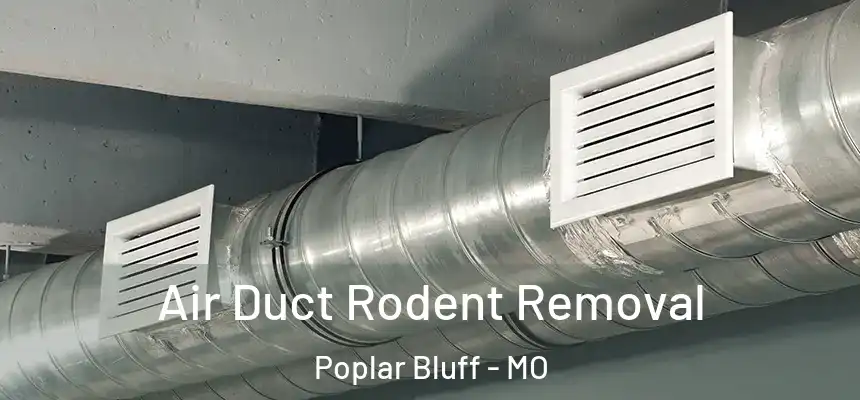  Air Duct Rodent Removal Poplar Bluff - MO