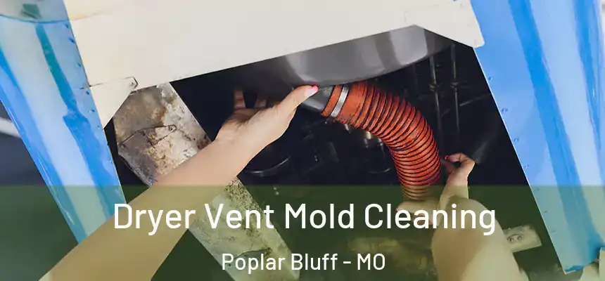 Dryer Vent Mold Cleaning Poplar Bluff - MO