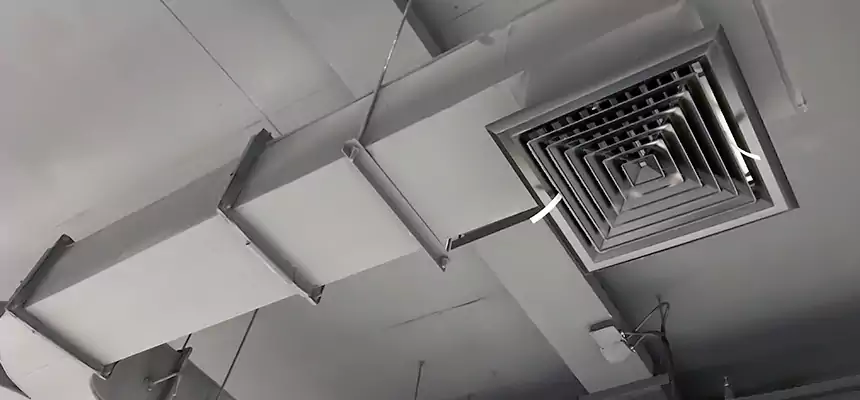 Restorative Allergy Relief Vent Cleaning – Coil, Blower & Housing Detail in Poplar Bluff