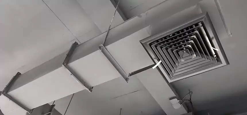 Our Pest Removal From Ducts Services in Poplar Bluff, MO