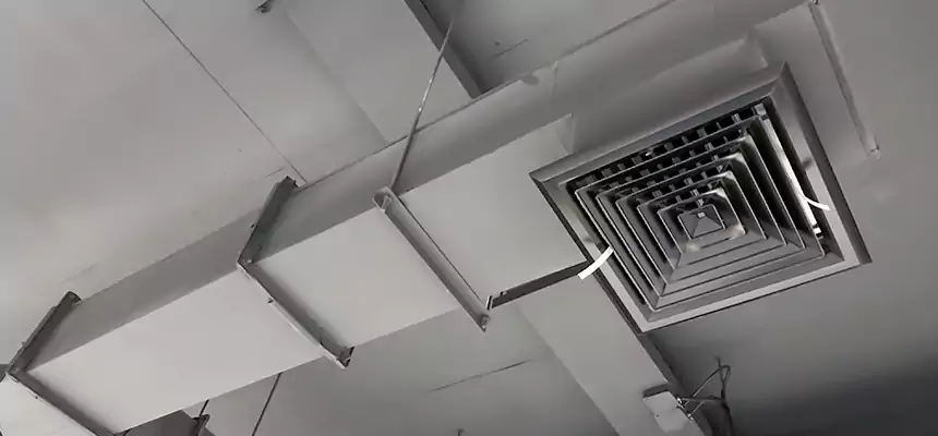 Our Rodent Droppings In Vents Services in Poplar Bluff, MO