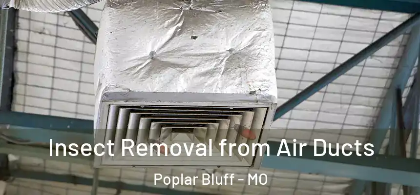 Insect Removal from Air Ducts Poplar Bluff - MO