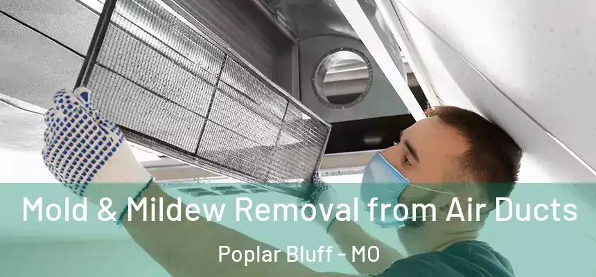 Mold & Mildew Removal from Air Ducts Poplar Bluff - MO