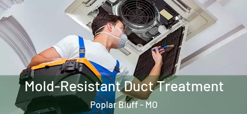Mold-Resistant Duct Treatment Poplar Bluff - MO