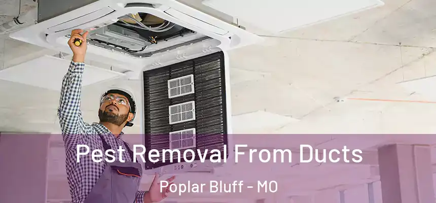  Pest Removal From Ducts Poplar Bluff - MO