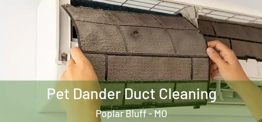 Pet Dander Duct Cleaning Poplar Bluff - MO