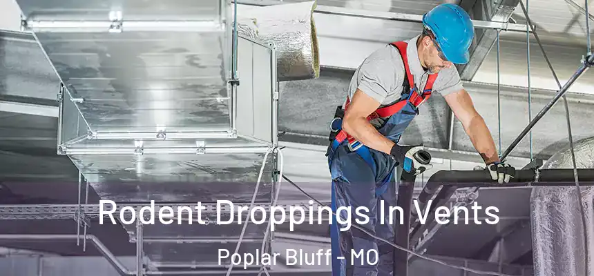 Rodent Droppings In Vents Poplar Bluff - MO