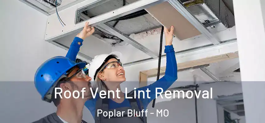 Roof Vent Lint Removal Poplar Bluff - MO