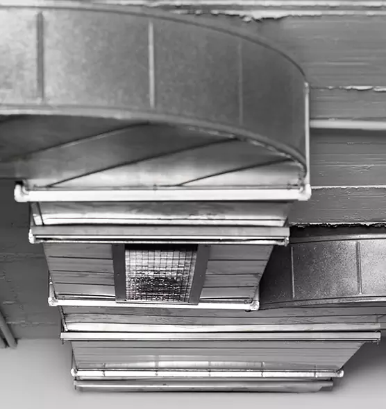 Professional Air Duct Pest Removal in Poplar Bluff, MO