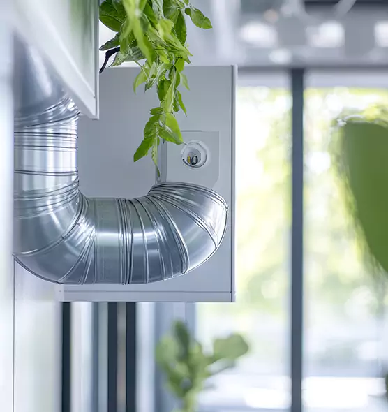 Professional Eco-Safe Dryer Vent Cleaning in Poplar Bluff, MO