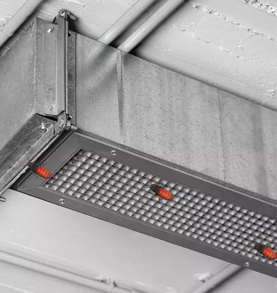 Affordable Insect Removal from Air Ducts in Poplar Bluff, MO