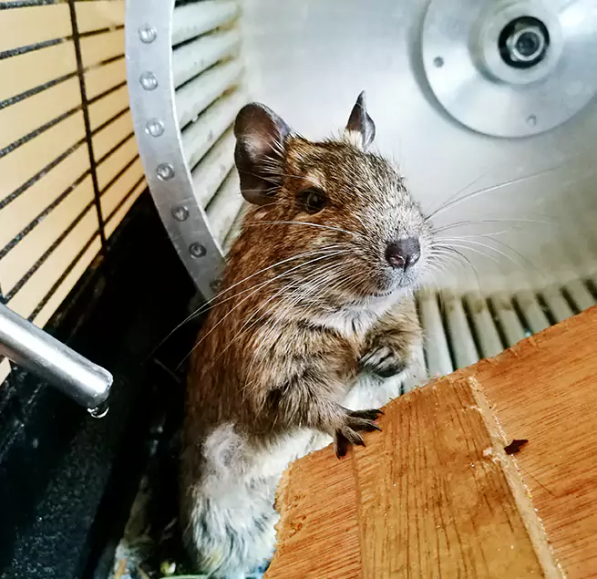 Why Homeowners & Businesses Trust Us Poplar Bluff, MO